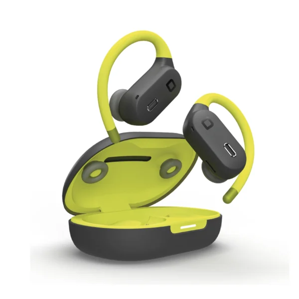 Earphones
